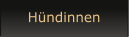 H�ndinnen